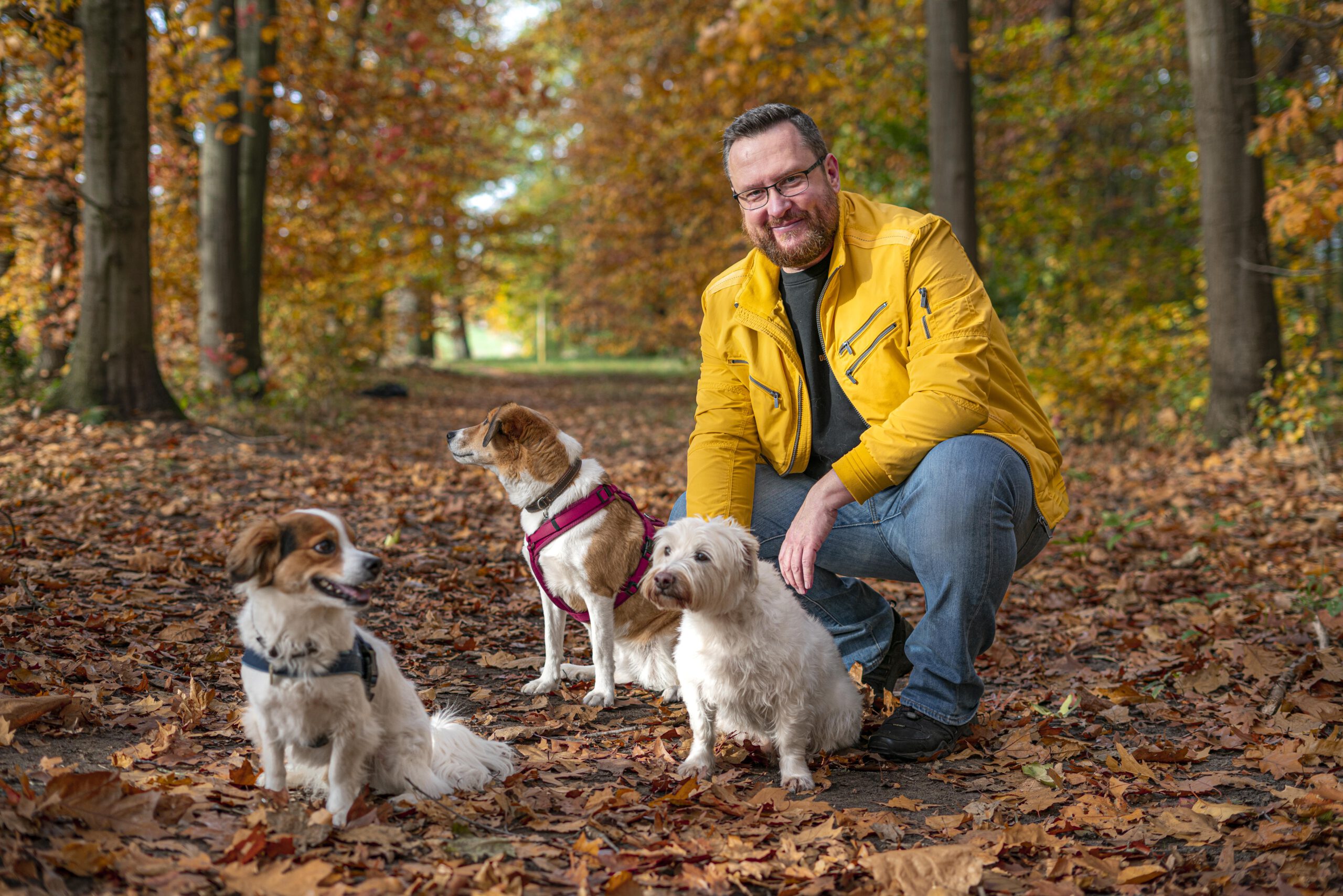 Hundeshooting